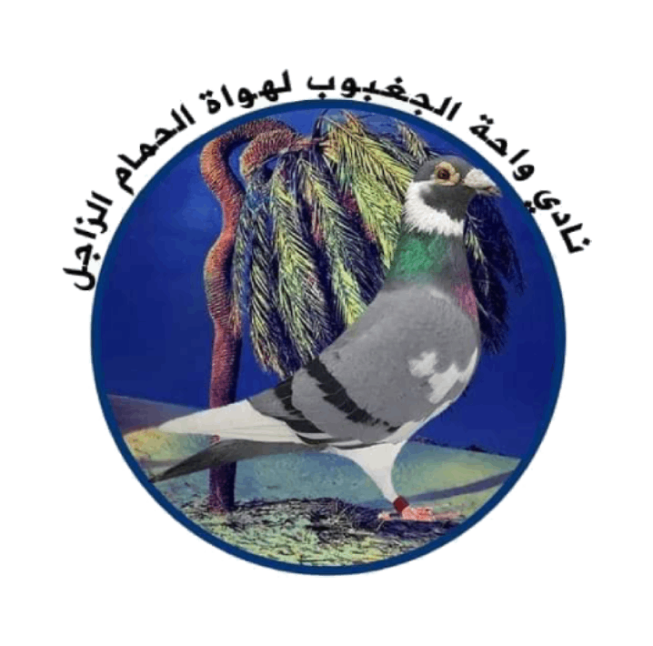 نادي واحة الجغبوب لهواة الحمام الزاجل