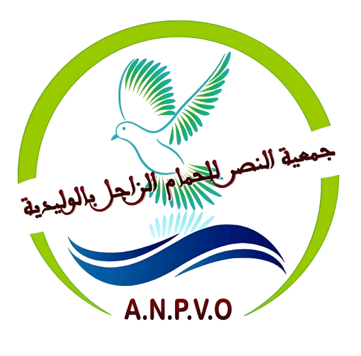 ASSOCIATION NASR DES PIGEONS VOYAGEUR OUALIDIA