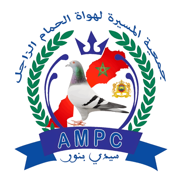 ASSOCIATION MASSIRA POUR LES PIGEONS DES COURSES