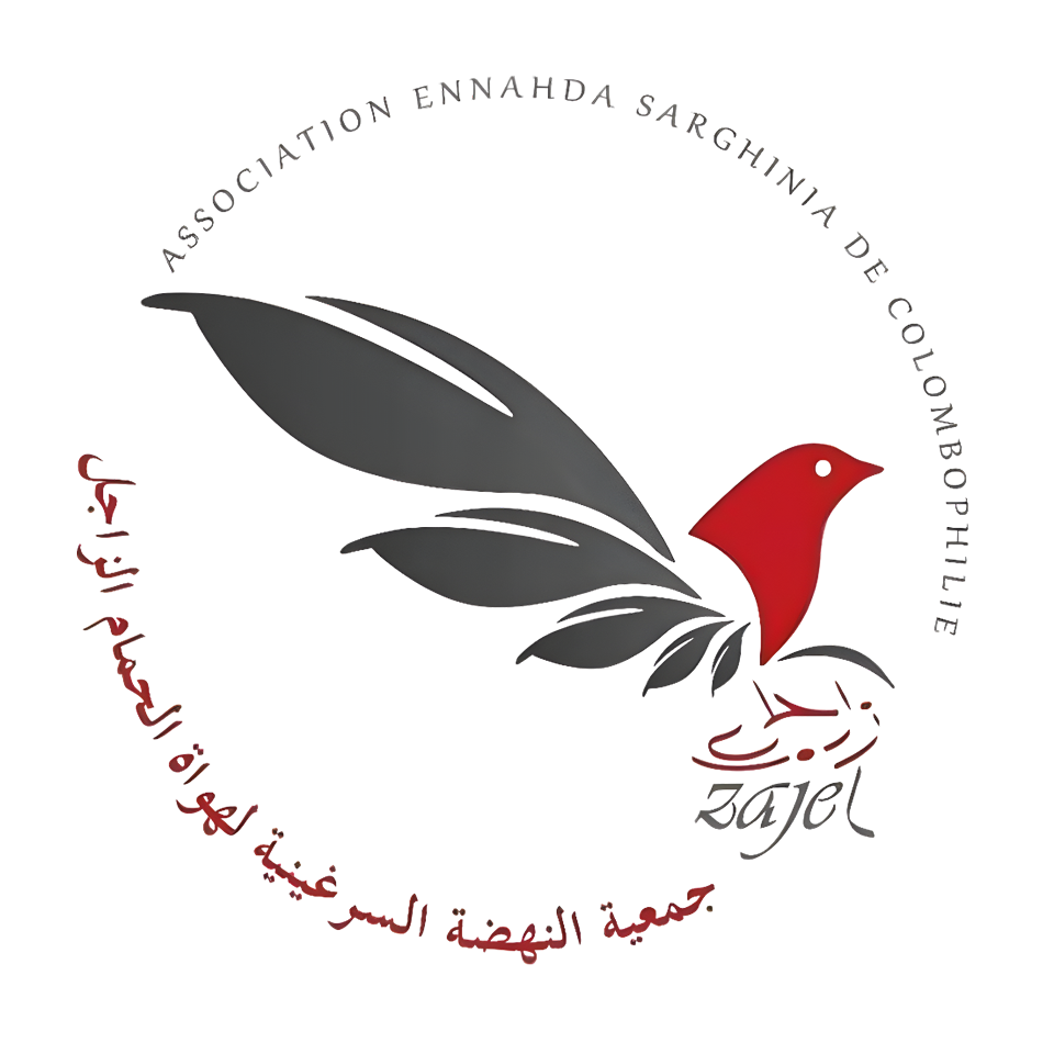 Assoication Ennahda Sarghinia de Colombophile
