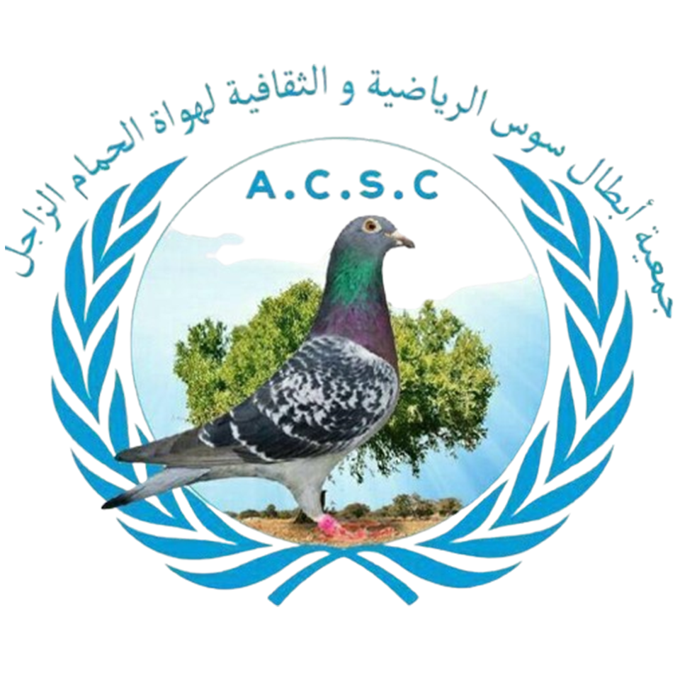 Association Des Champions Souss Colombophiles Tikiouine