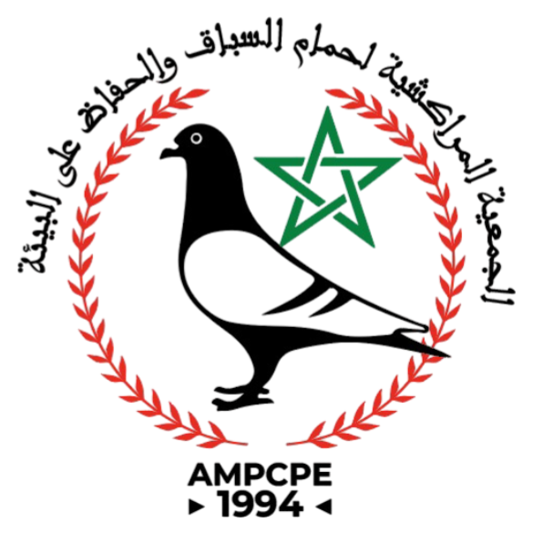 Association de Marrakech des Pigeons de course et la Préservation de l'Environnement 