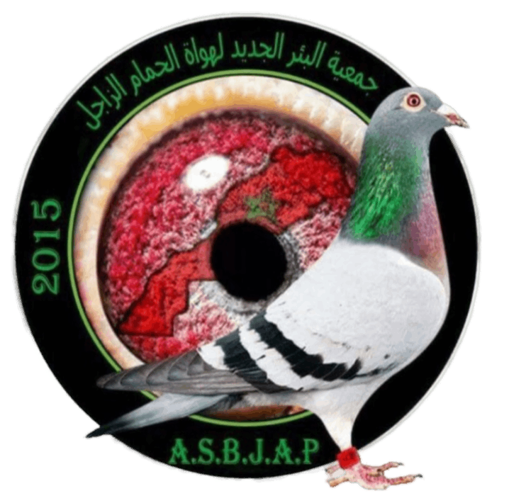 Association BIR JDID des Pigeons Voyageurs