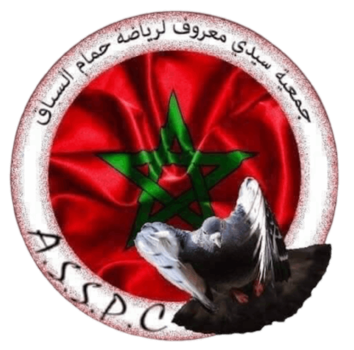 Association SIDI MAAROUF des Pigeons de Course