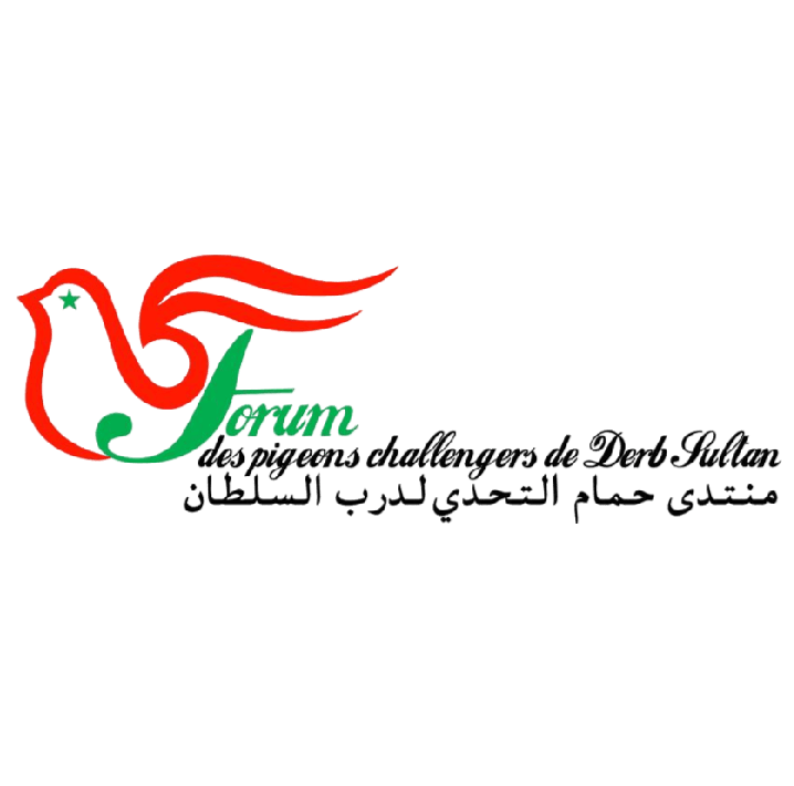 Forum des Pigeons Challengers de DERB SULTAN