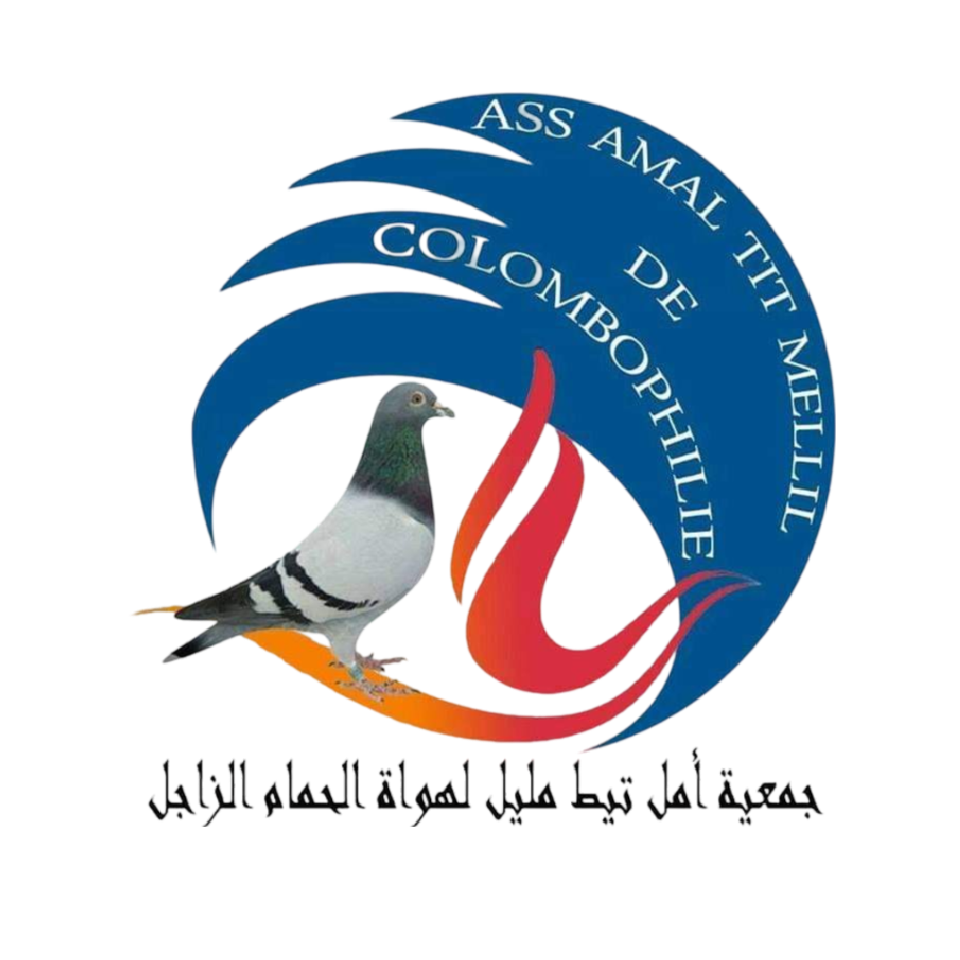 Association AMAL TIT MELLIL de Colombophilie