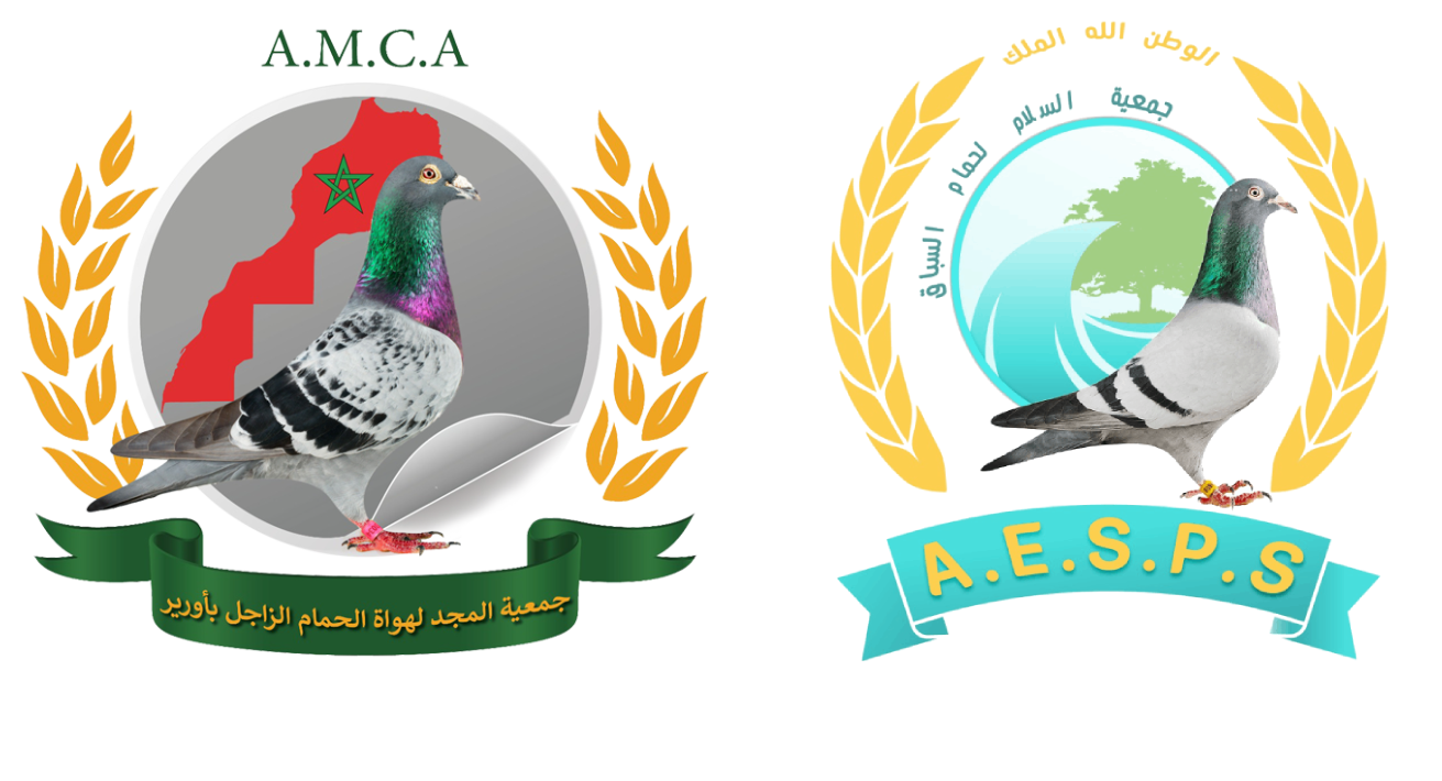 Coordination AOURIR - TADART des Colombophiles