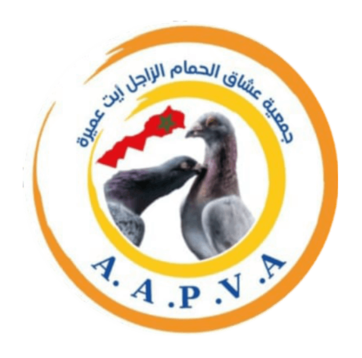 Association amateur pigeons voyageurs AIT AMIRA