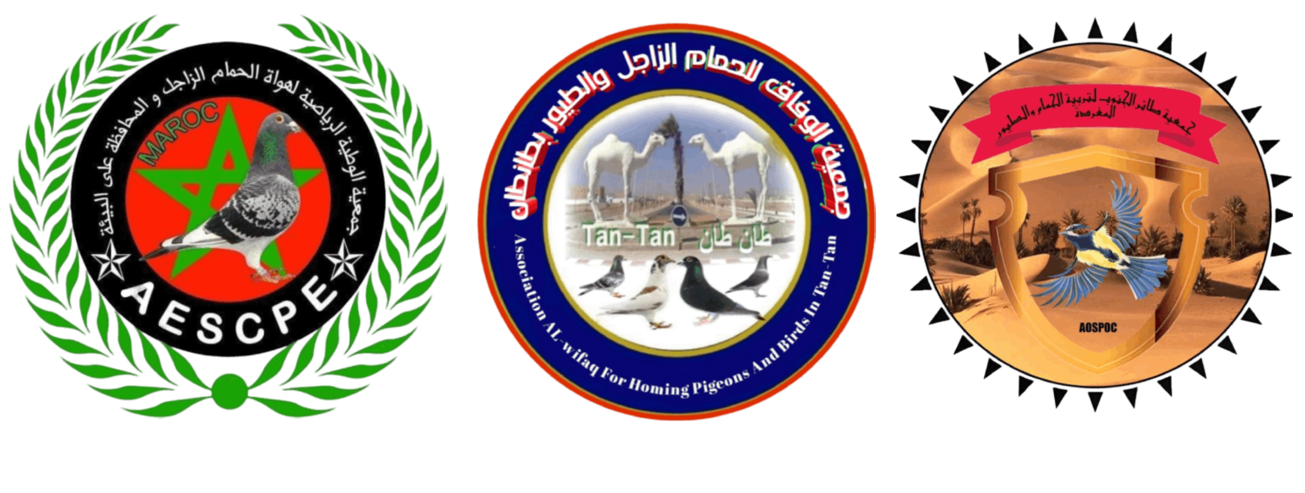 Union Colombophile TANTAN