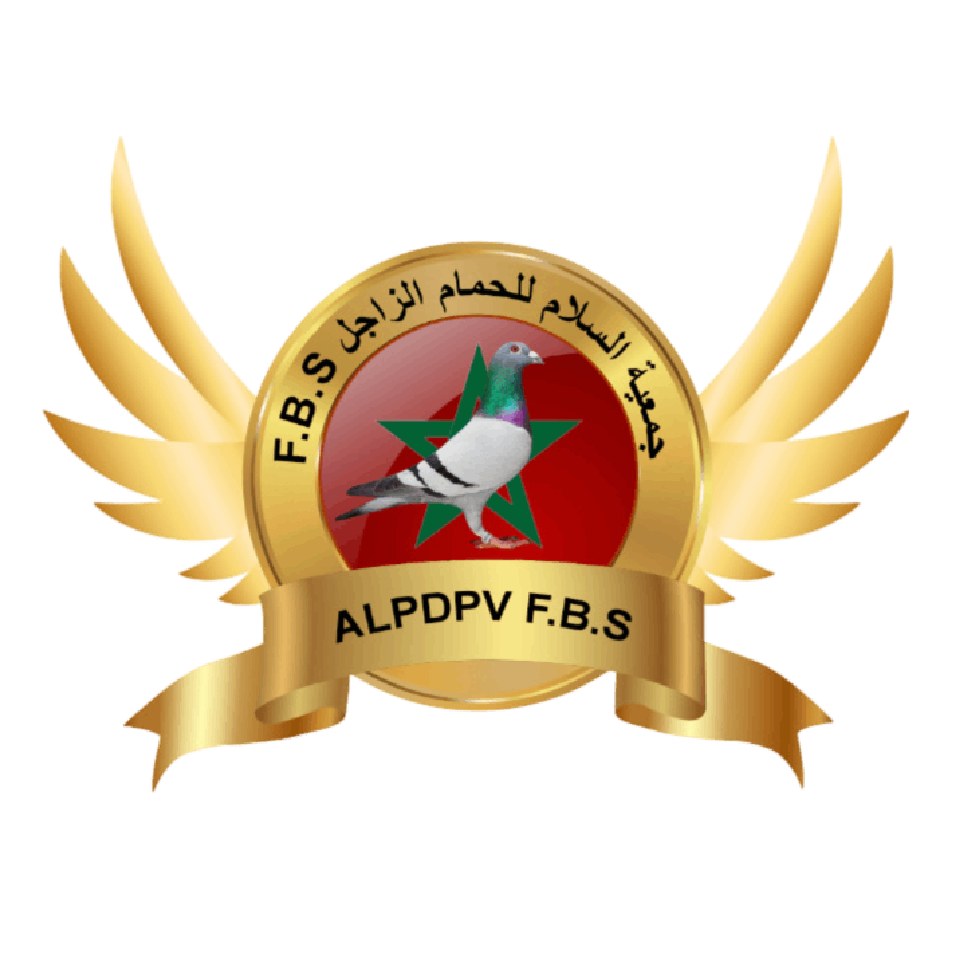 Association ASSALAM Pour Pigeon Voyageurs FBS