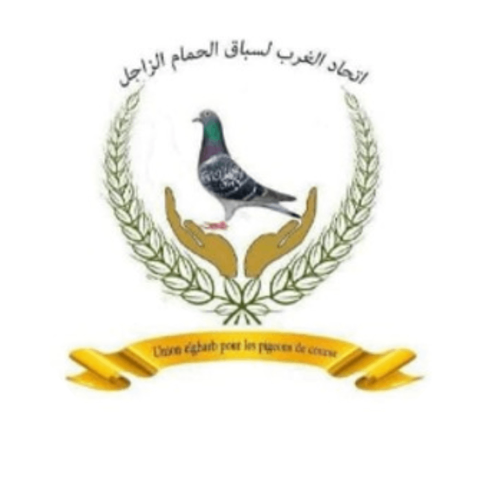 UNION GHAREB POUR LES PIGEONS DE COURSE