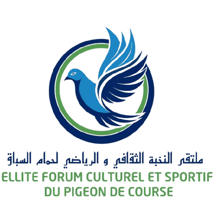 Association forum élite pigeon voyageur settat