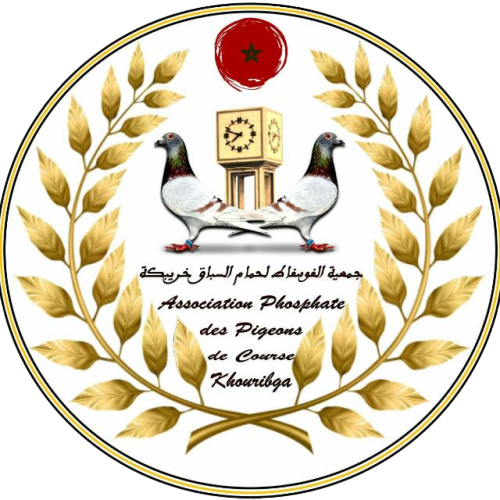 Association Phosphate Des Pigeons De Course Khouribga