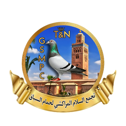 تجمع السلام المراكشي لحمام السباق