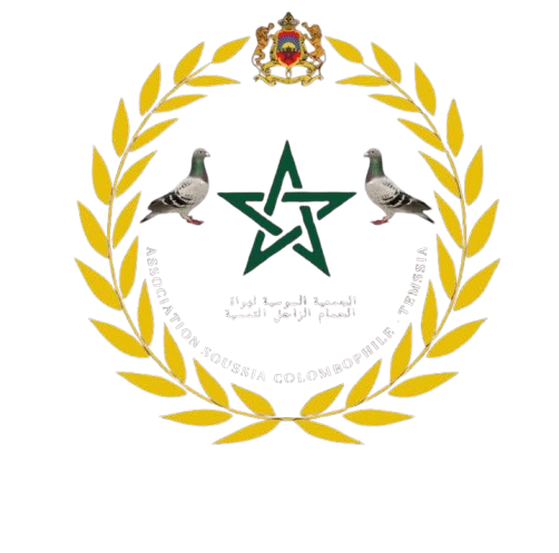 Association Soussia Colombophile Temssia