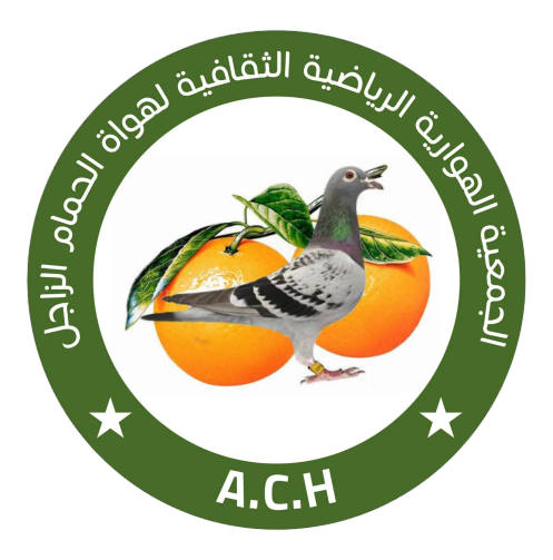 الجمعية الهوارية الرياضية الثقافية لهواة الحمام الزاجل