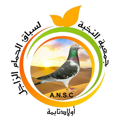 جمعية النخبة لسباق الحمام الزاجل أولاد تايمة