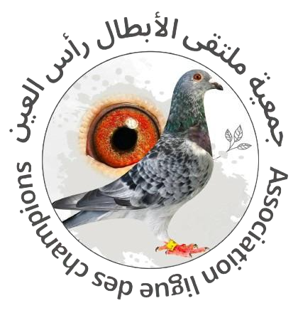 Association Ligue Des Champions