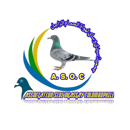 ASSOCIATION SIDI OUASSAY COLOMBOPHILE