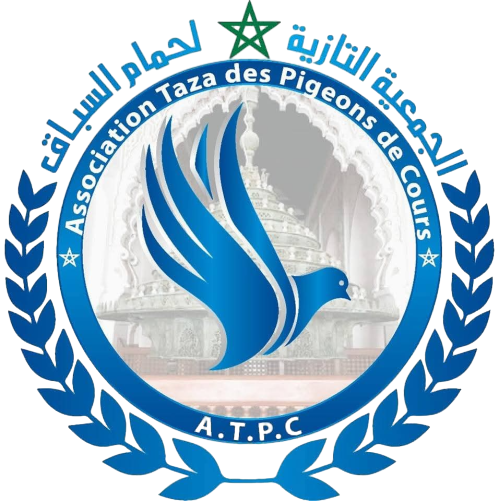 ASSOCIATION TAZA DES PIGEONS DE COURS