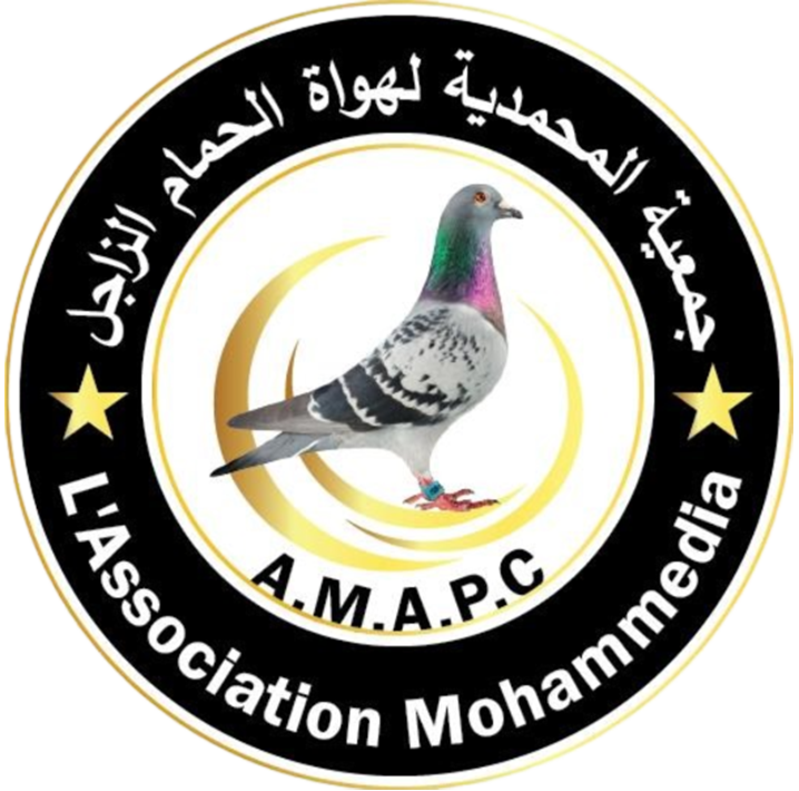 جمعية المحمدية لهواة الحمام الزاجل