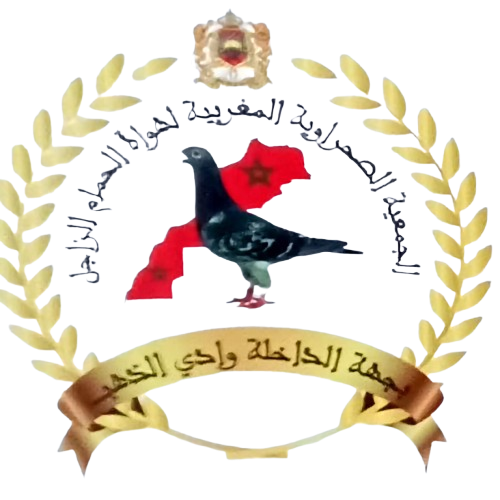 الجمعية الصحراوية المغربية لهواة الحمام الزاجل بجهة الداخلة وادي الذهب