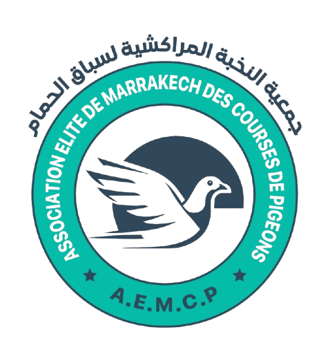 ASSOCIATION ELITE DE MARRAKECH DES COURSES DE PIGEONS