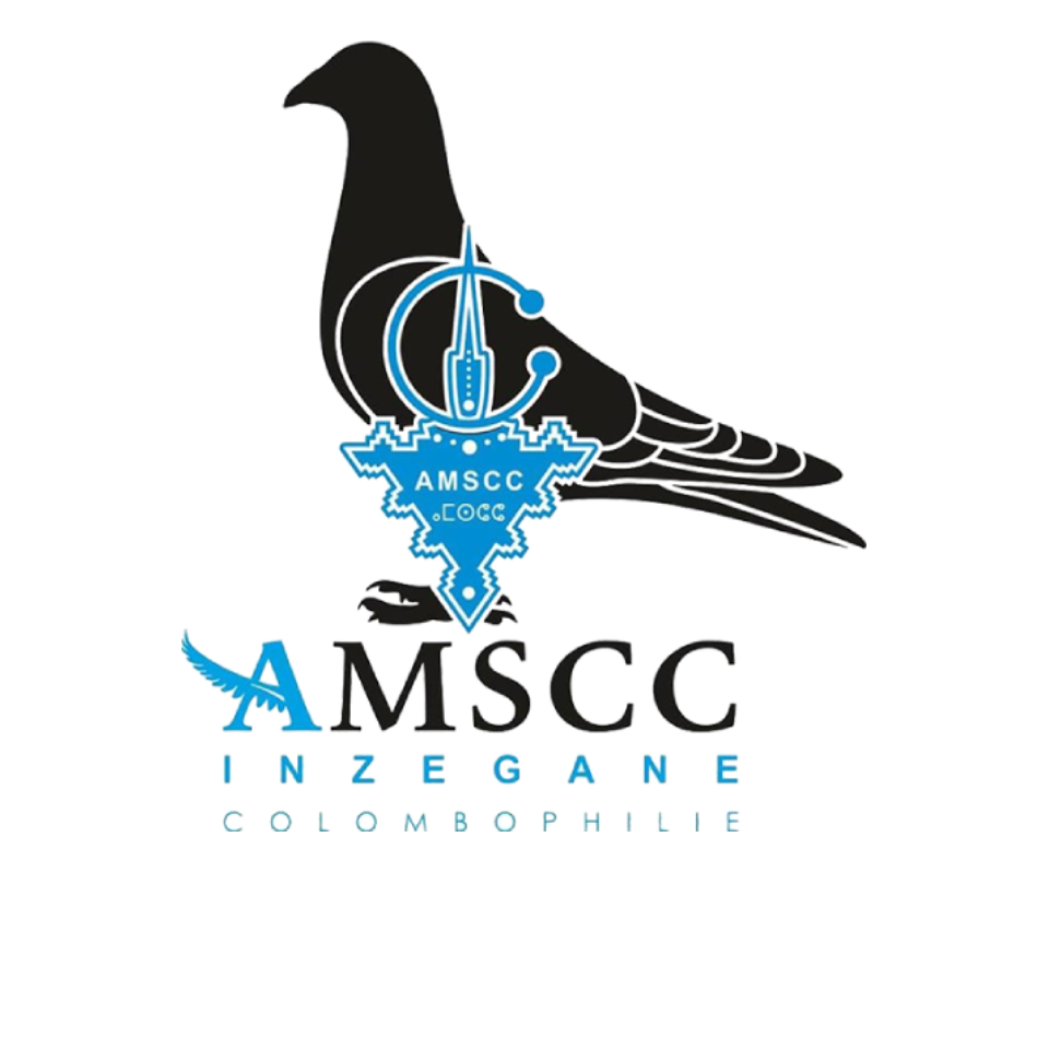 AMSCC INZEGANE COLOMBOPHILIE