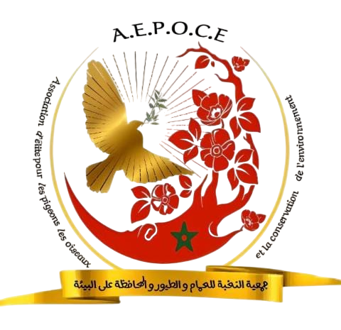 Association d'élite pour les pigeons les oiseaux et la conservation de l'environnement