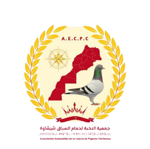 Association Ennoukhba de la Course de Pigeons Chichaoua