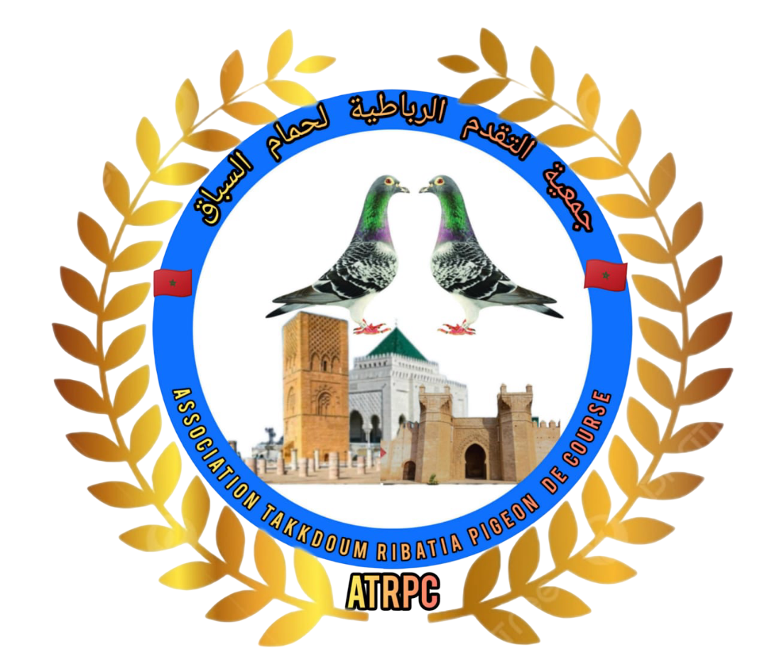 ASSOCIATION TAKKDOUM RIBATIA PIGEON DE COURSE