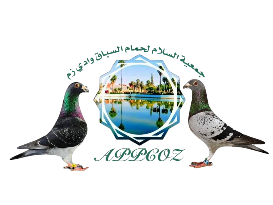Association Al-Salam pour les Pigeons de Course de Oued Zem