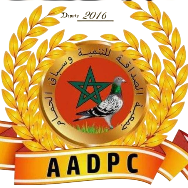 جمعية الصداقة وسباق حمام للتنمية