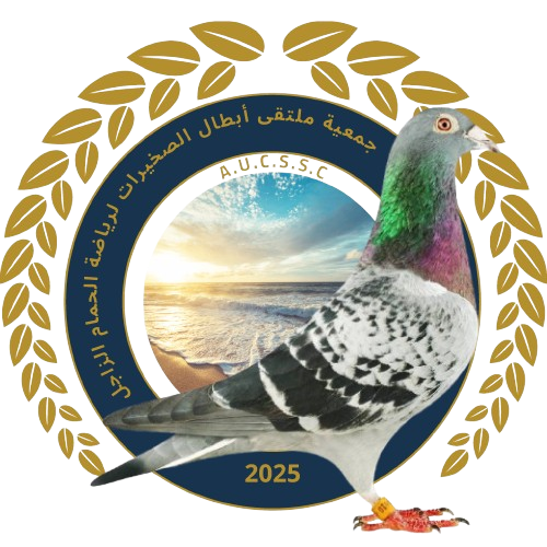 جمعية ملتقى أبطال الصخيرات لرياضة الحمام الزاجل