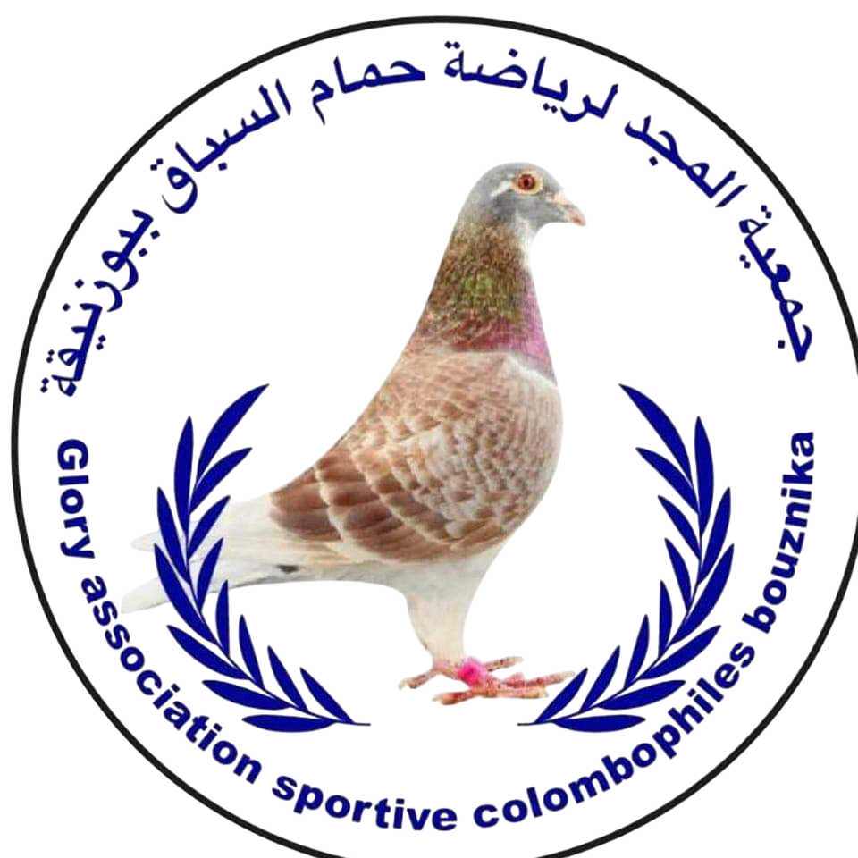 Glory association sportive colombophiles bouznika