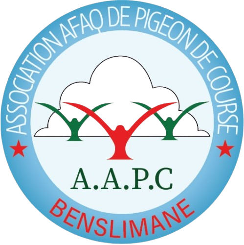 Association Afaq de Pigeon de Course Benslimane