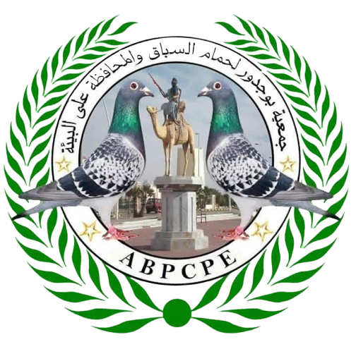 جمعية بوجدور لحمام السباق والمحافظة على البنية
