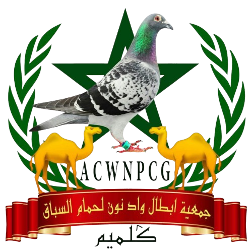 جمعية أبطال واد نون لحمام السباق كلميم