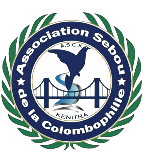 Association Sebou de la Colombophilie Kenitra