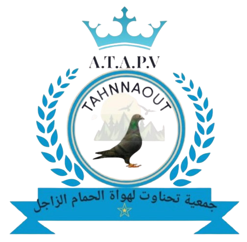 جمعية تحناوت لهواة الحمام الزاجل