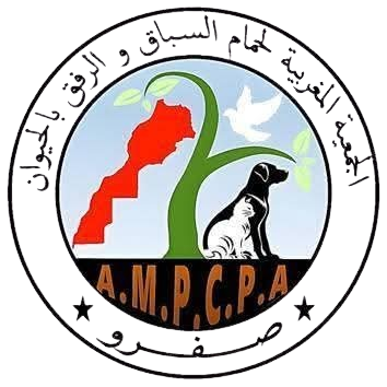 الجمعية المغربية لحمام السباق و الرفق بالحيوان بصفرو