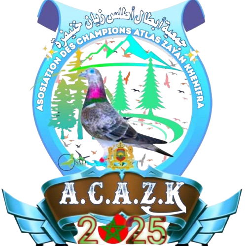 Association des Champions Atlas Zayan Khenifra