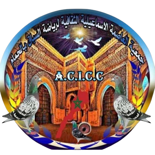 جمعية العاصمة الاسماعيلية الثقافية لرياضة السباق بالحمام