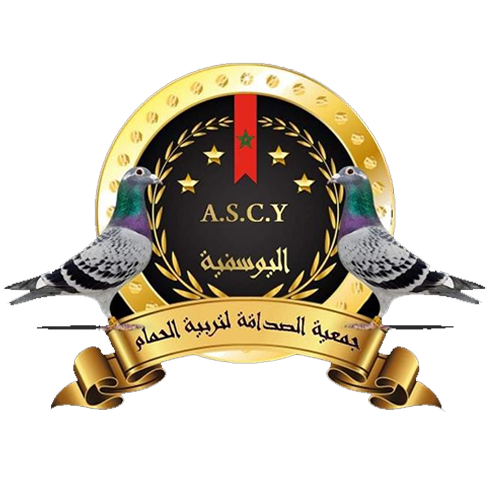 ASCY.        YOUSSOUFIA