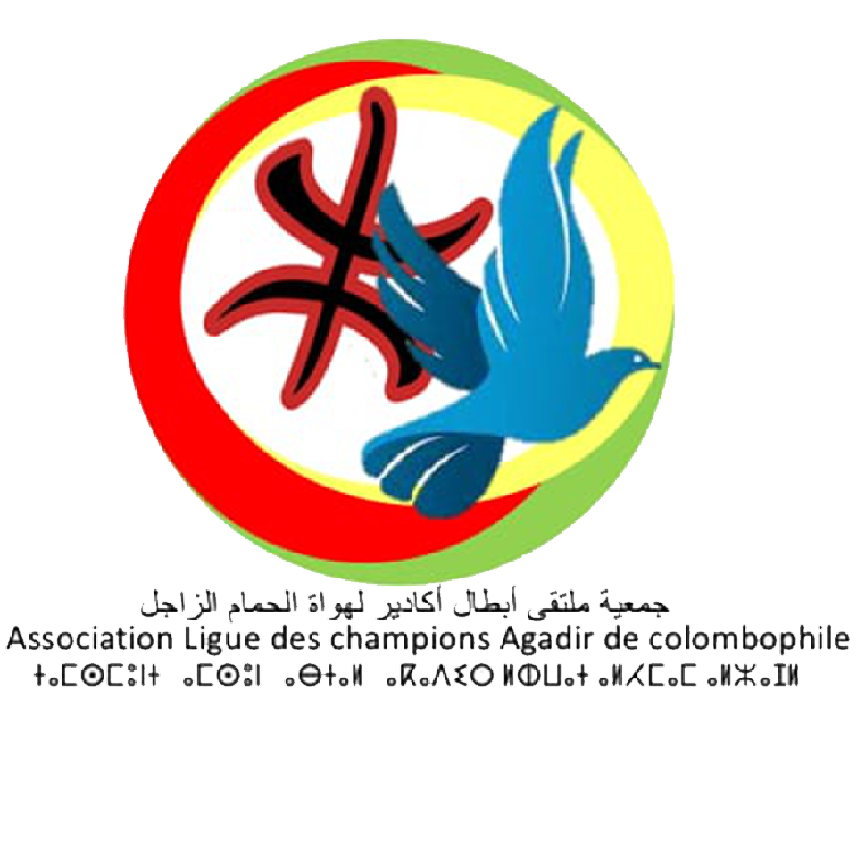 Association Ligue des Champions Agadir de Colombophile