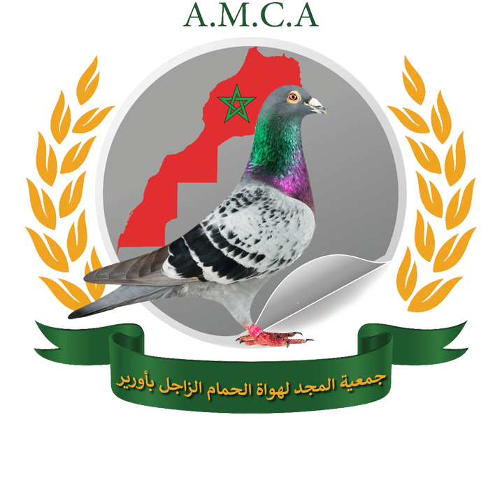Association MAJD de Colombophile AOURIR