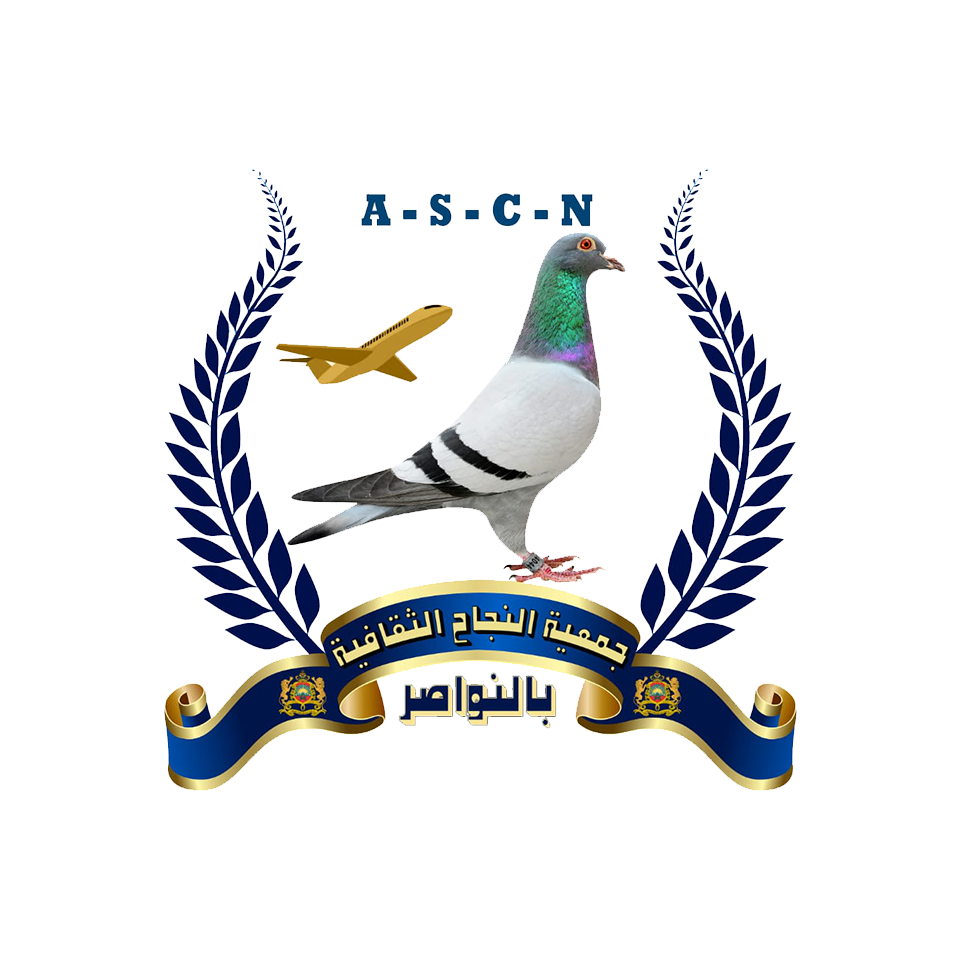 Association Succès Culturelle Nouaceur