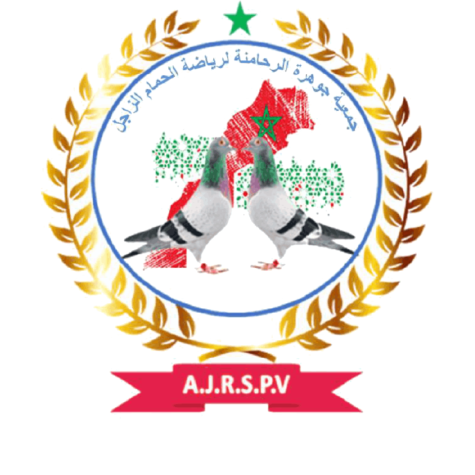 ASSOCIATION JAWHARAT REHAMNA DU SPORT DES PIGEONS VOYAGEURS