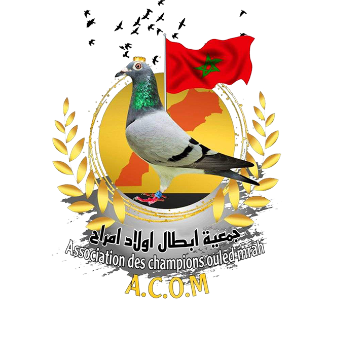 ASSOCIATION DES CHAMPIONS OULED MRAH