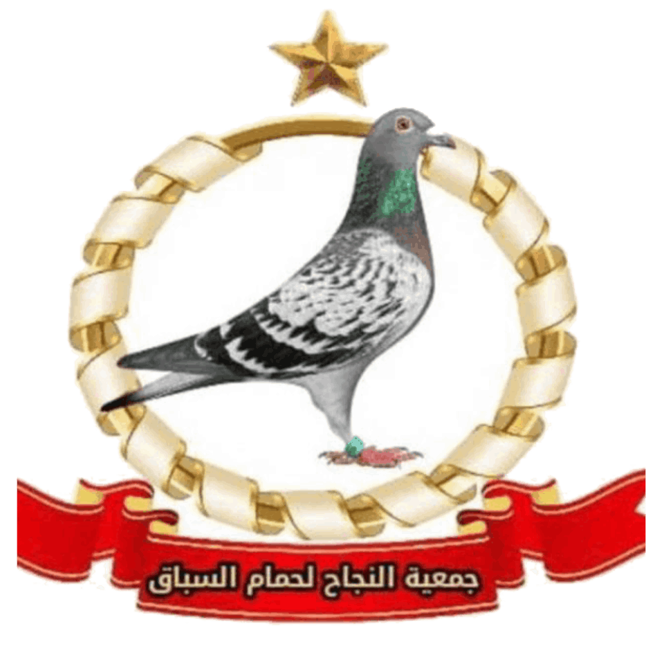 ASSOCIATION ENNAJAH DES PIGEONS DE COURSE